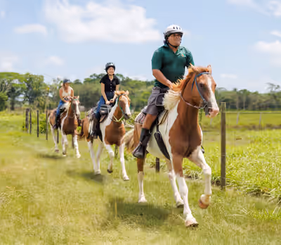 Equestrian guide leading two women riding horses through grassy meadows in Belize Equestrian guide leading two women on horseback through grassy meadows in Belize